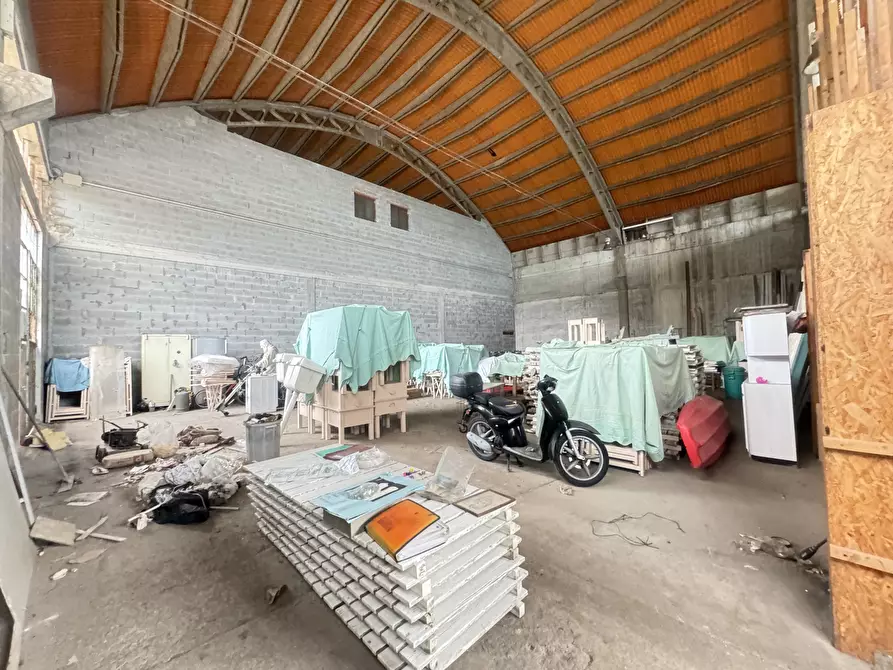 Immagine 9 di Magazzino in affitto  a Pietrasanta