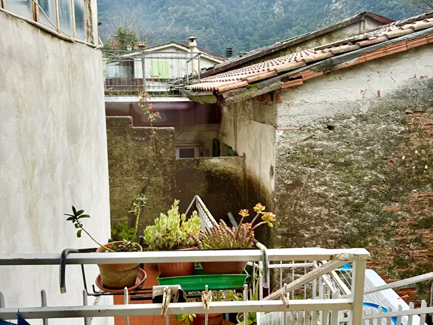 Immagine 44 di Terratetto in vendita  a Seravezza