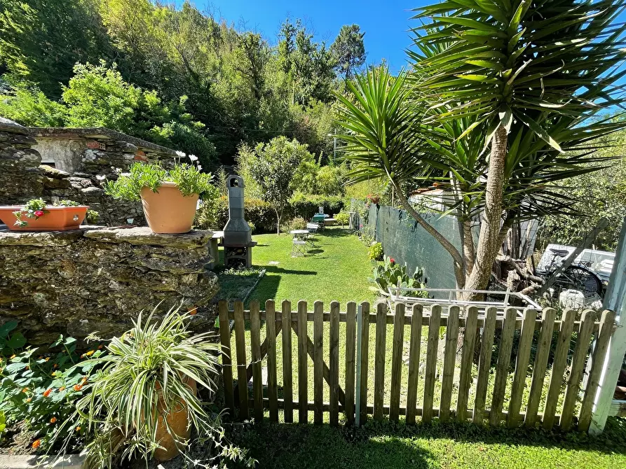 Immagine 32 di Terratetto in vendita  a Pietrasanta