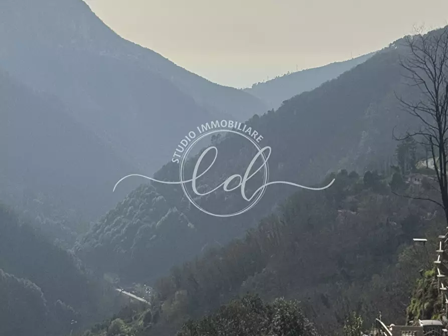 Immagine 43 di Casa indipendente in vendita  a Stazzema