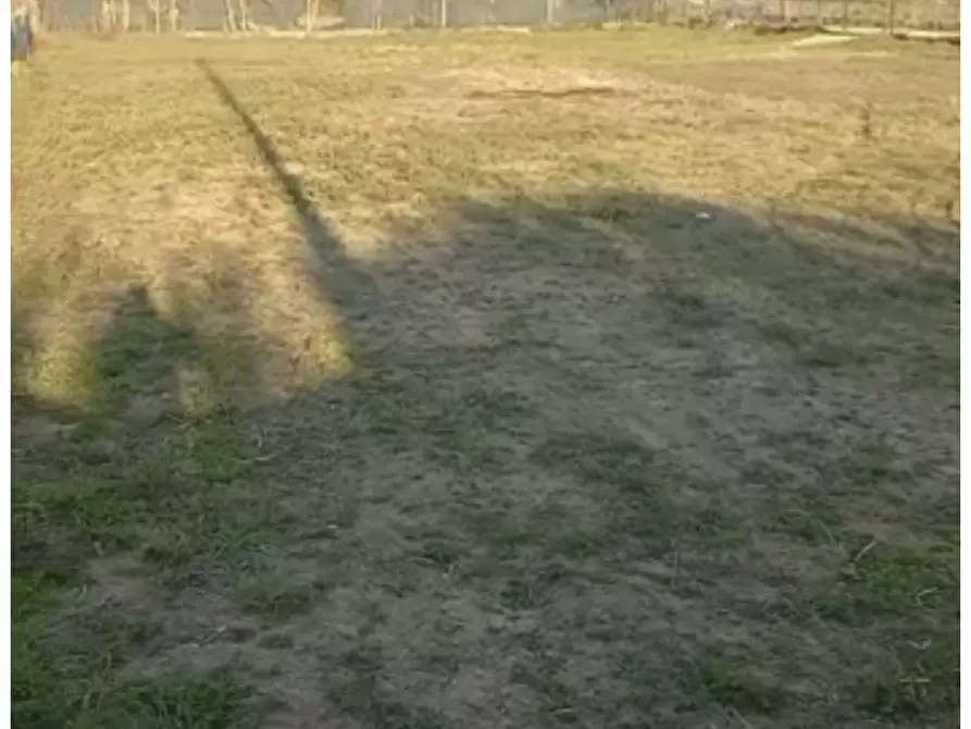 Immagine 2 di Terreno agricolo in vendita  a Pietrasanta