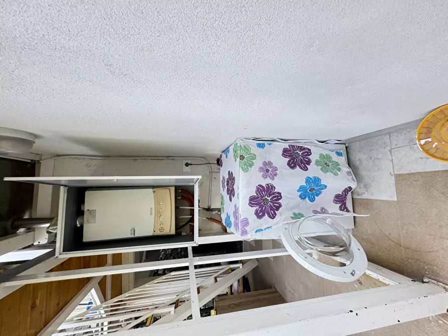 Immagine 22 di Trilocale in affitto  a Pietrasanta