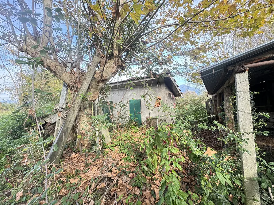 Immagine 66 di Rustico / casale in vendita  a Pietrasanta