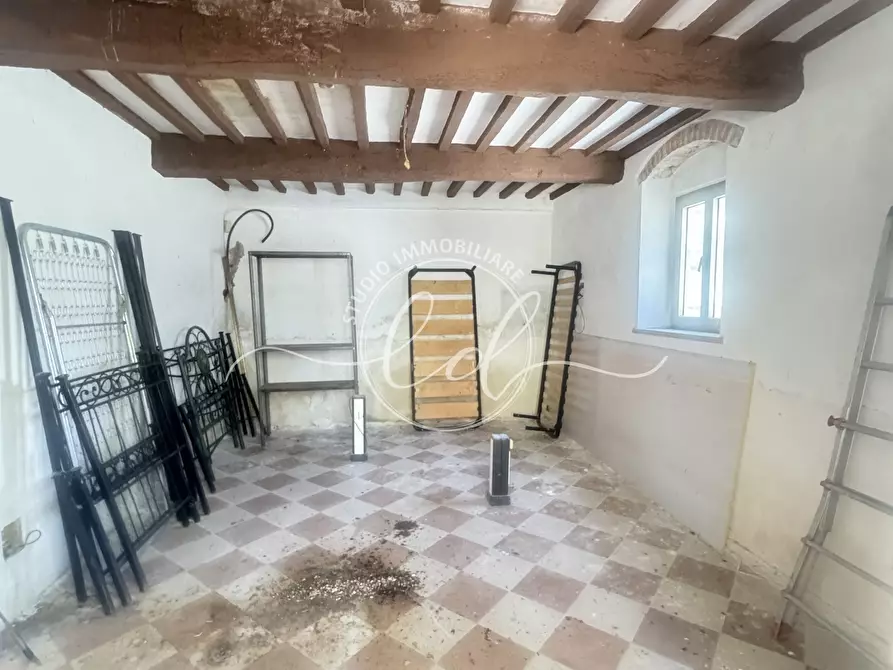 Immagine 11 di Attività artigianale in affitto  a Pietrasanta