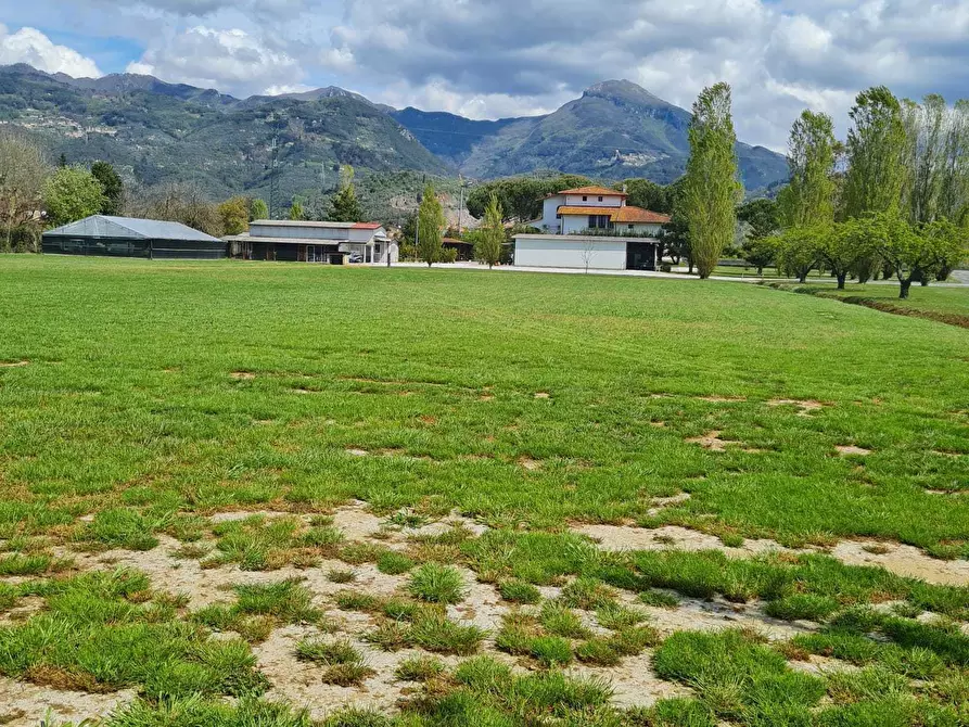 Immagine 23 di Villa in vendita  a Pietrasanta