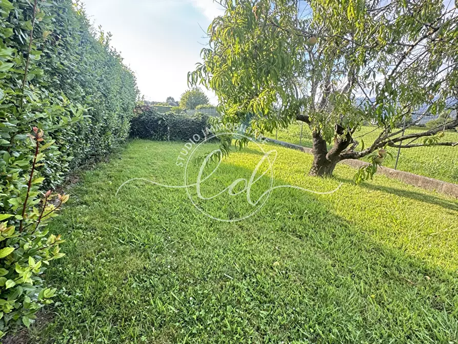 Immagine 63 di Porzione di casa in vendita  a Pietrasanta