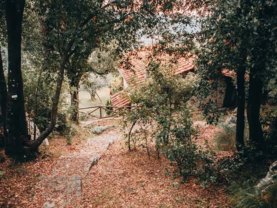 Immagine 32 di Rustico / casale in affitto  a Camaiore