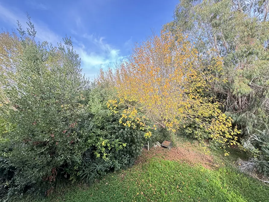 Immagine 37 di Rustico / casale in vendita  a Pietrasanta