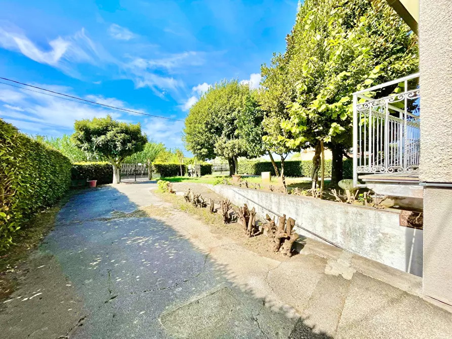 Immagine 8 di Villa in vendita  a Pietrasanta