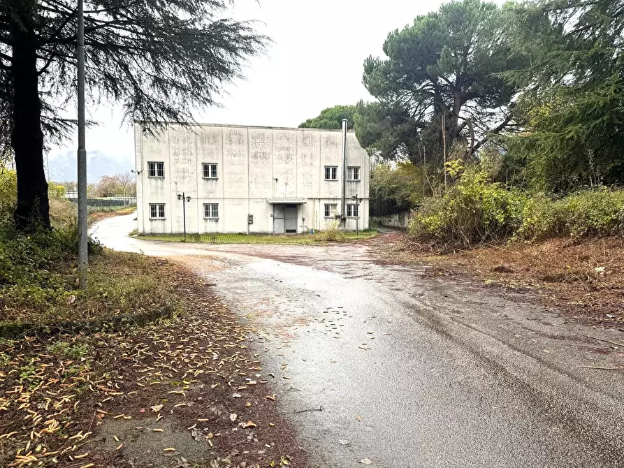 Immagine 3 di Attività artigianale in vendita  in Via ASI 7 15 a Ferentino