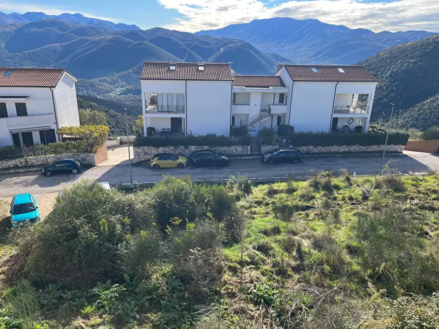 Immagine 3 di Terreno agricolo in vendita  in Via delle Mele a Segni