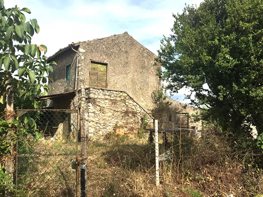 Immagine 1 di Rustico / casale in vendita  in Via Carpinetana Ovest a Segni