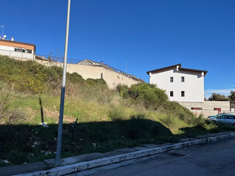 Immagine 5 di Terreno agricolo in vendita  in Via delle Mele a Segni