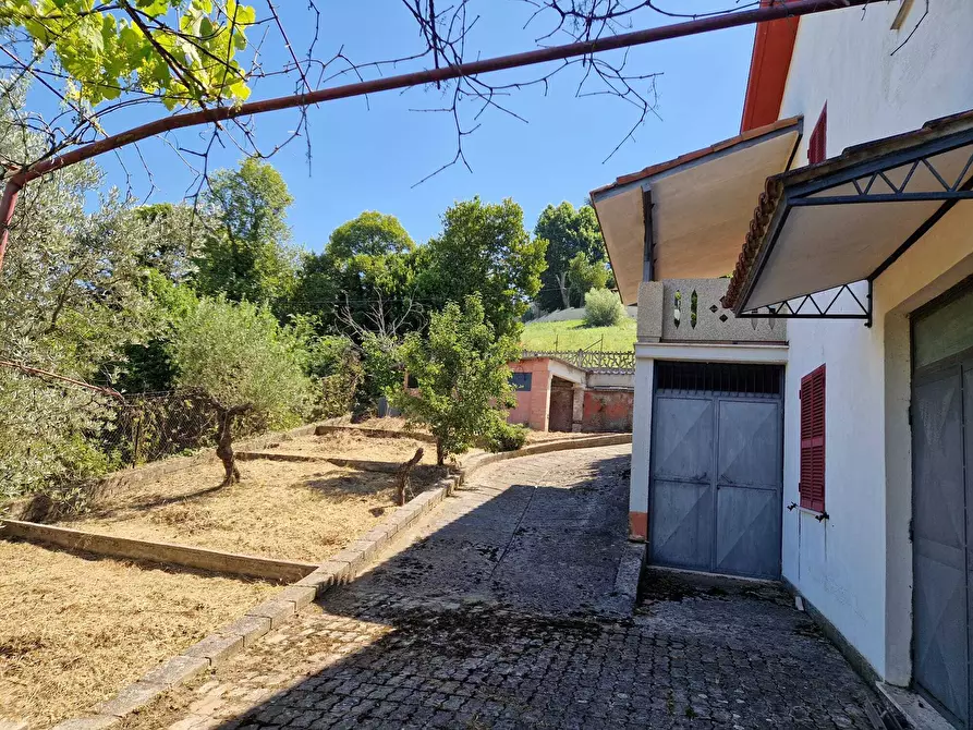 Immagine 9 di Villa in vendita  in Contrada Zancati Nuovo a Paliano
