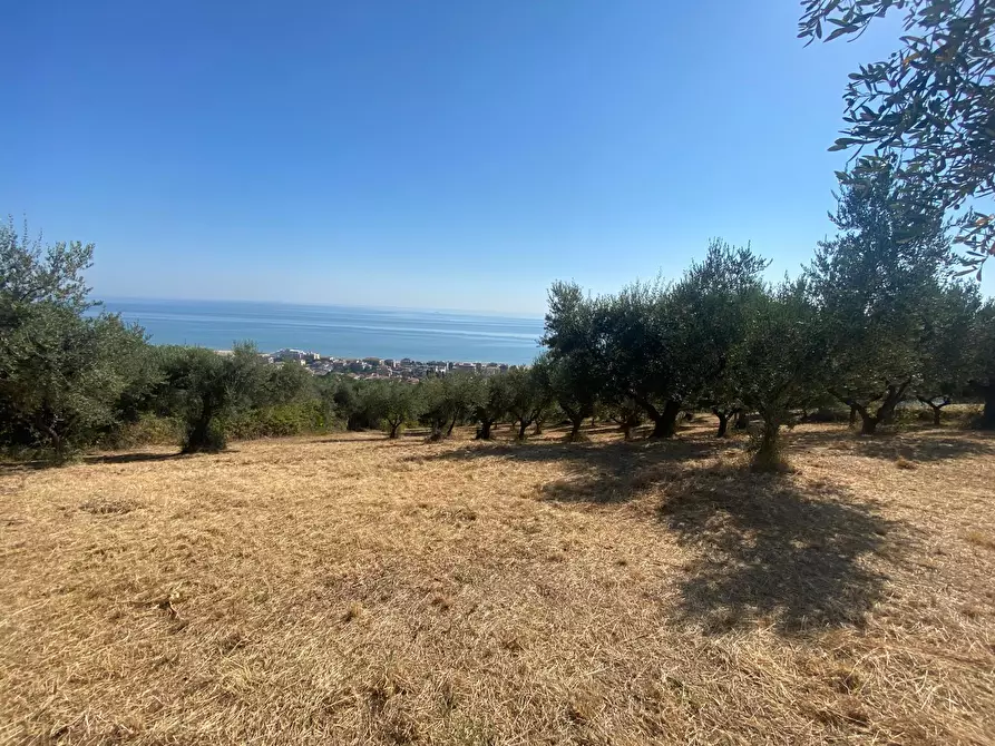 Immagine 20 di Porzione di casa in vendita  in Contrada Stagliano a Silvi