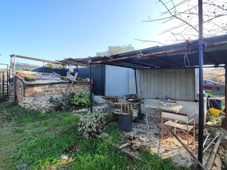 Immagine 19 di Terreno agricolo in vendita  in Via Colle di Mitriano a Guidonia Montecelio