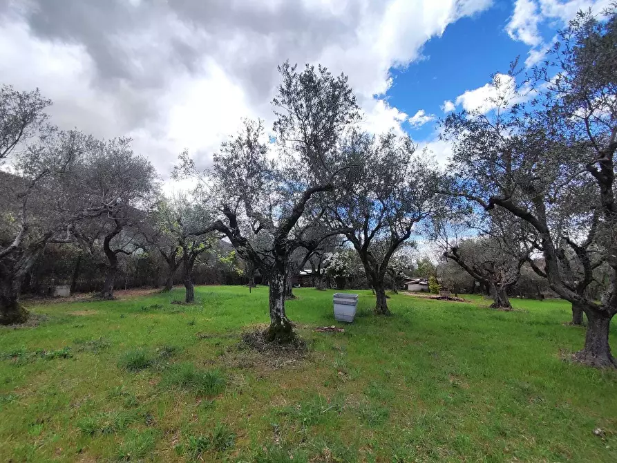 Immagine 24 di Terreno agricolo in vendita  in Via Dello Scalo Ferroviario 12 a Marcellina