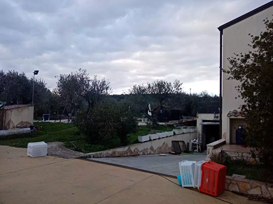 Immagine 52 di Villa in vendita  a Alghero