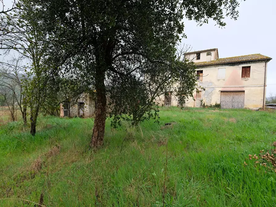 Immagine 5 di Terreno agricolo in vendita  in Contrada Salerna 129 a Cupramontana