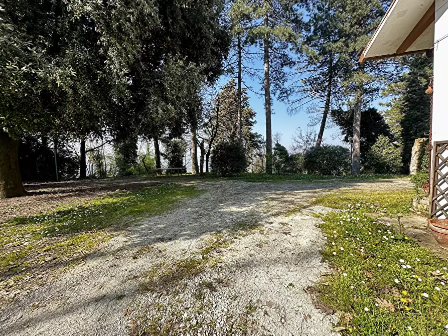 Immagine 14 di Rustico / casale in vendita  in Via Vicinale Santa Lucia a Cesena