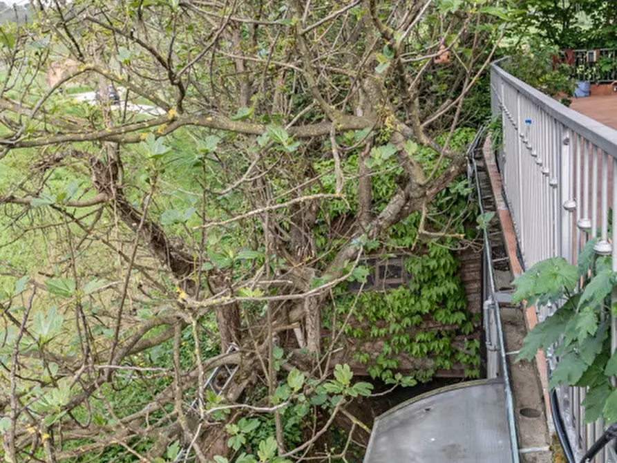 Immagine 56 di Casa indipendente in vendita  in via Falconara a Cesena
