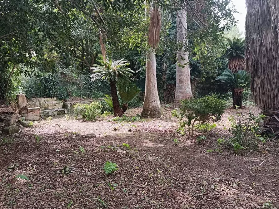 Immagine 25 di Villa in vendita  a Valderice