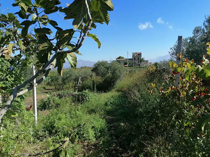 Immagine 26 di Rustico / casale in vendita  a Partinico