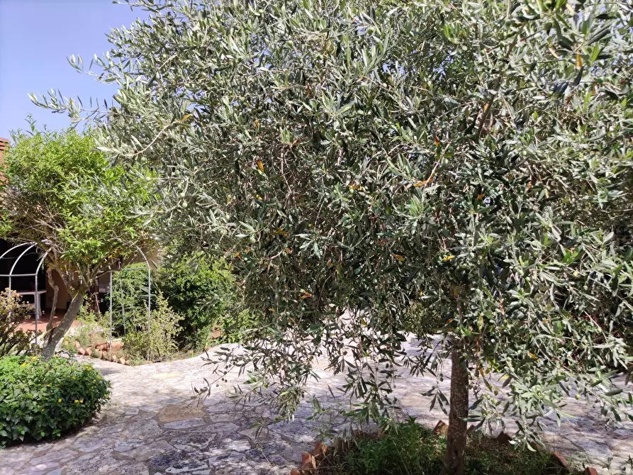 Immagine 64 di Villa in vendita  a Castellammare Del Golfo