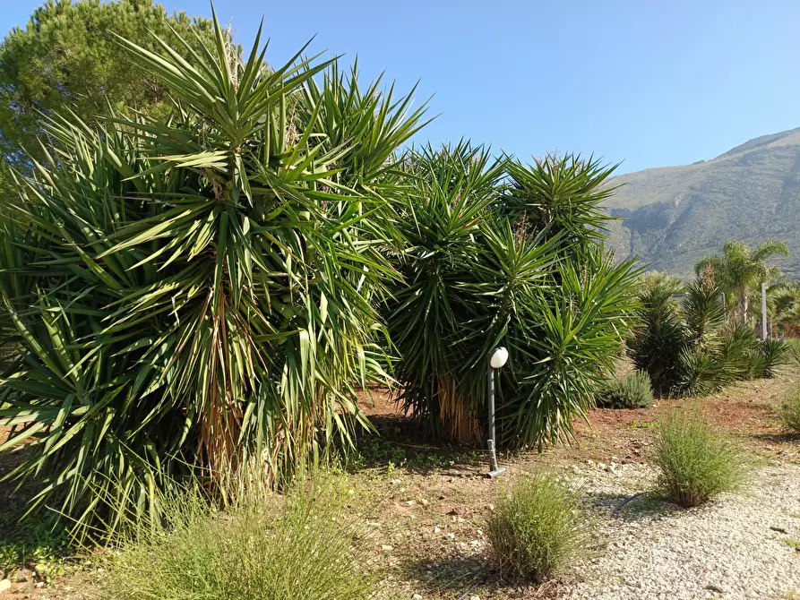 Immagine 69 di Villetta a schiera in vendita  a Castellammare Del Golfo