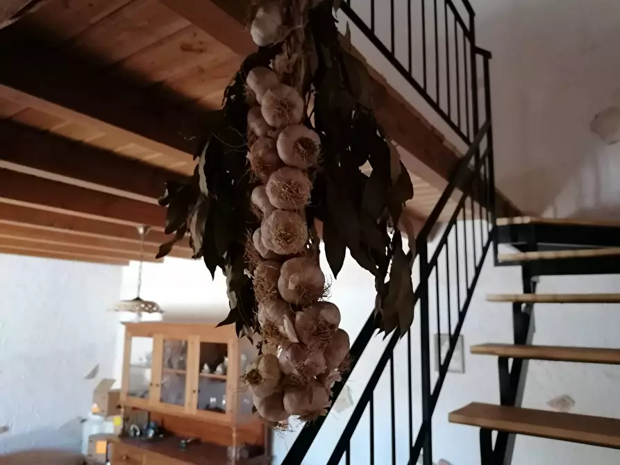 Immagine 22 di Rustico / casale in vendita  a Partinico