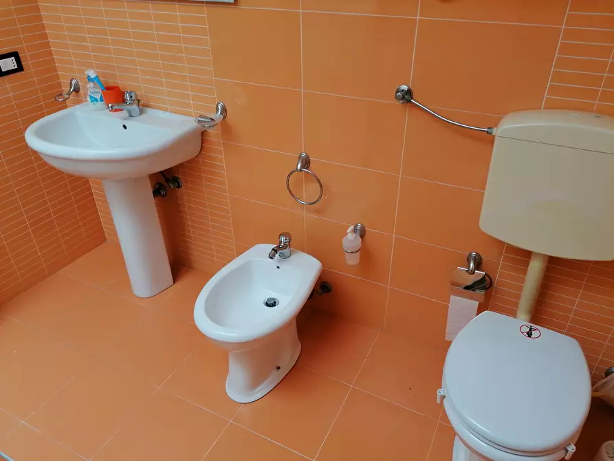 Immagine 29 di Trilocale in affitto  a Balestrate