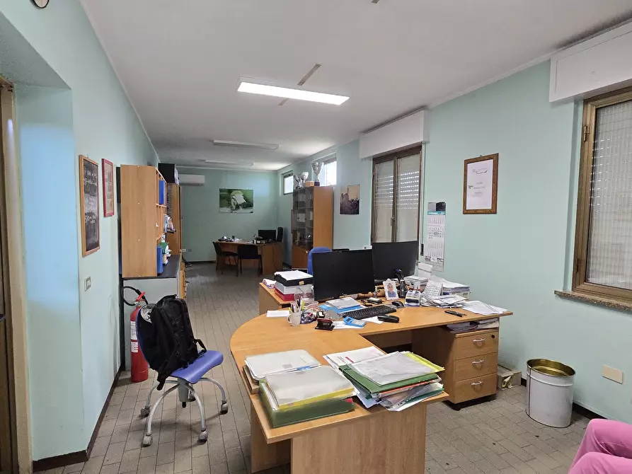 Immagine 5 di Capannone industriale in vendita  in Via Sandro pertini 9 a Miradolo Terme