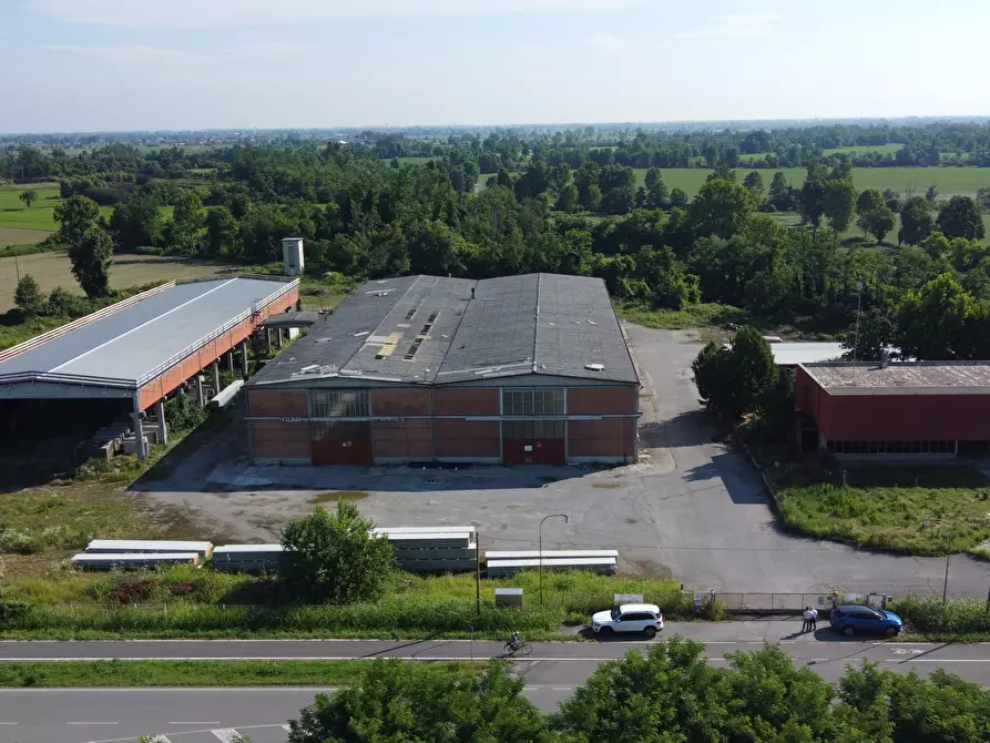 Immagine 4 di Capannone industriale in affitto  in strada Provinciale 26 20 a San Martino In Strada