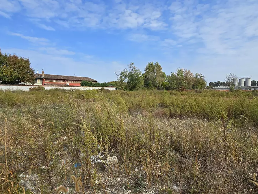 Immagine 3 di Terreno industriale in vendita  in via Toscana a Cornegliano Laudense