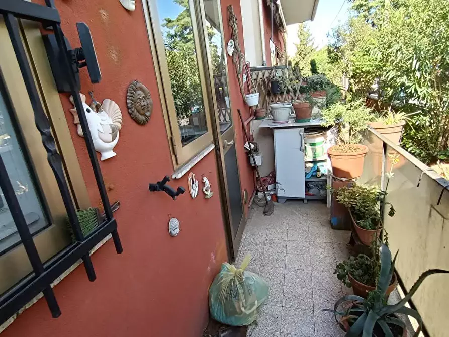 Immagine 14 di Appartamento in vendita  a Rovigo