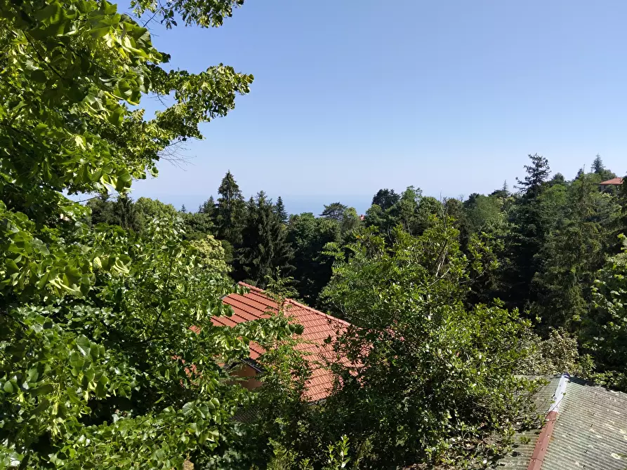 Immagine 8 di Villa in vendita  a San Remo