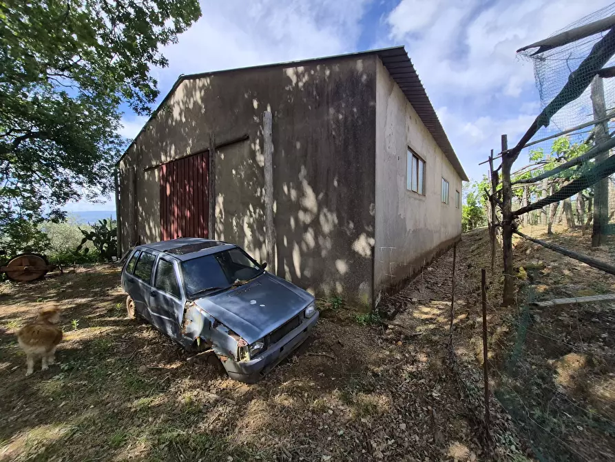 Immagine 25 di Casa indipendente in vendita  in Contrada San Filippo 7 a Pianopoli