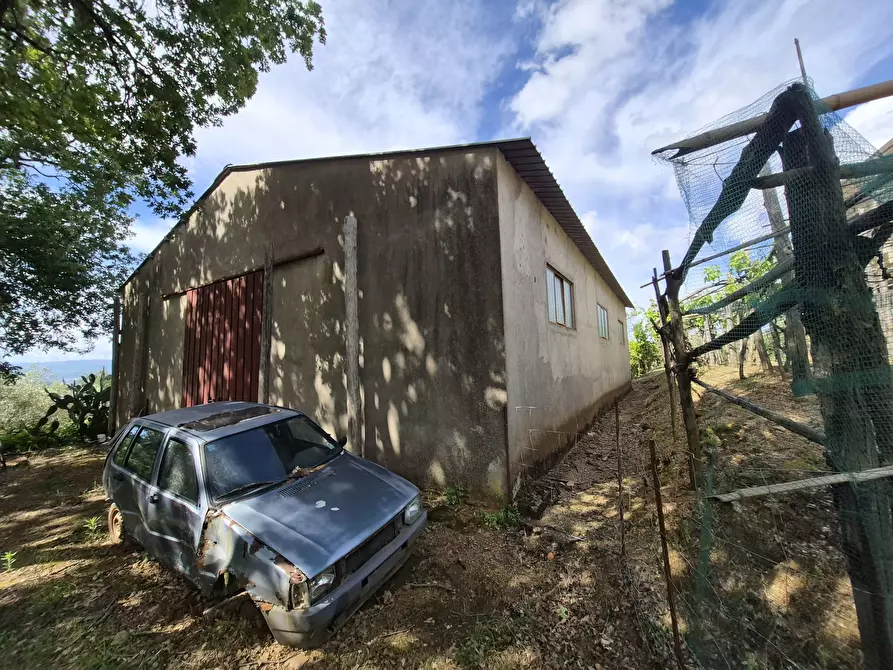 Immagine 26 di Casa indipendente in vendita  in Contrada San Filippo 7 a Pianopoli