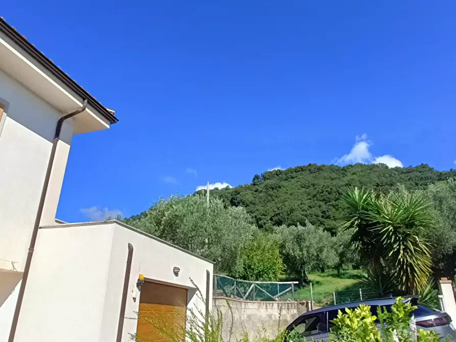 Immagine 8 di Villa in vendita  in SP79 a Feroleto Antico