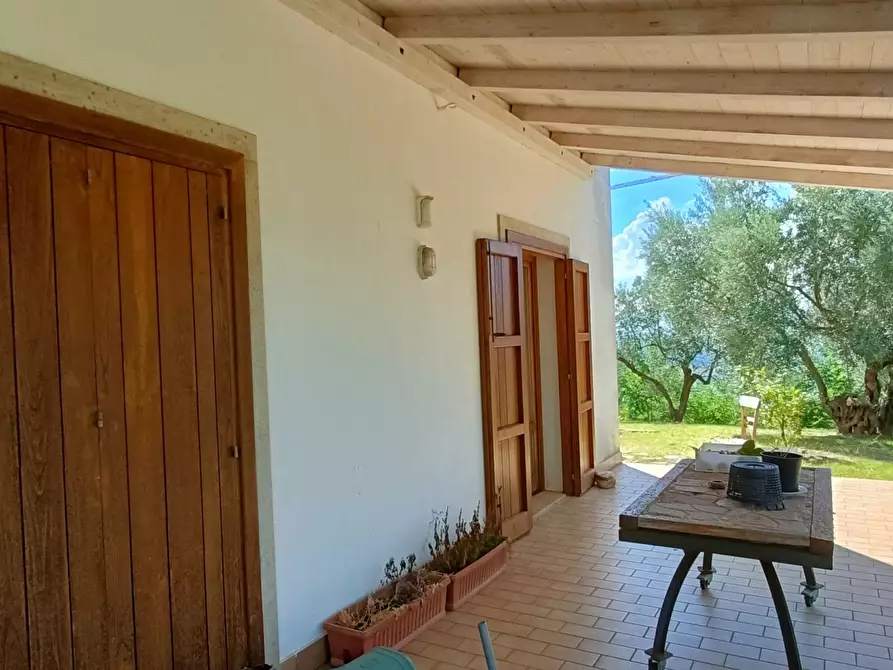 Immagine 11 di Villa in vendita  in SP79 a Feroleto Antico