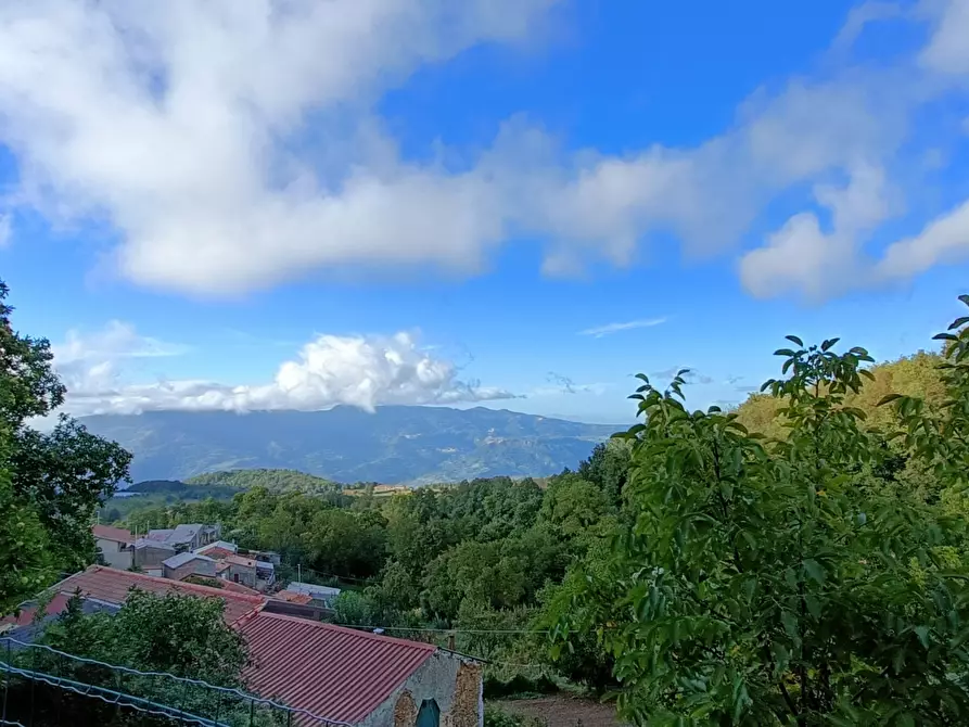 Immagine 8 di Showroom in vendita  in san mazzeo a Conflenti