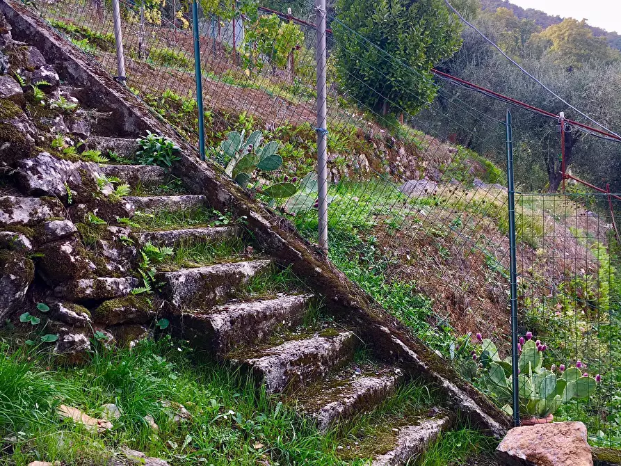 Immagine 6 di Monolocale in vendita  a Ameglia