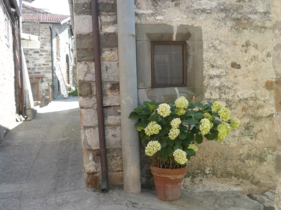 Immagine 9 di Terratetto in vendita  in Località Luscignano 18 a Casola In Lunigiana