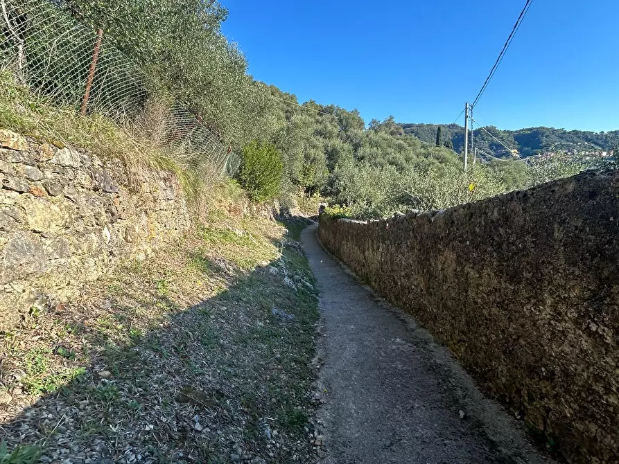 Immagine 8 di Terreno agricolo in vendita  in Via Giuseppe Garibaldi 51 a Lerici