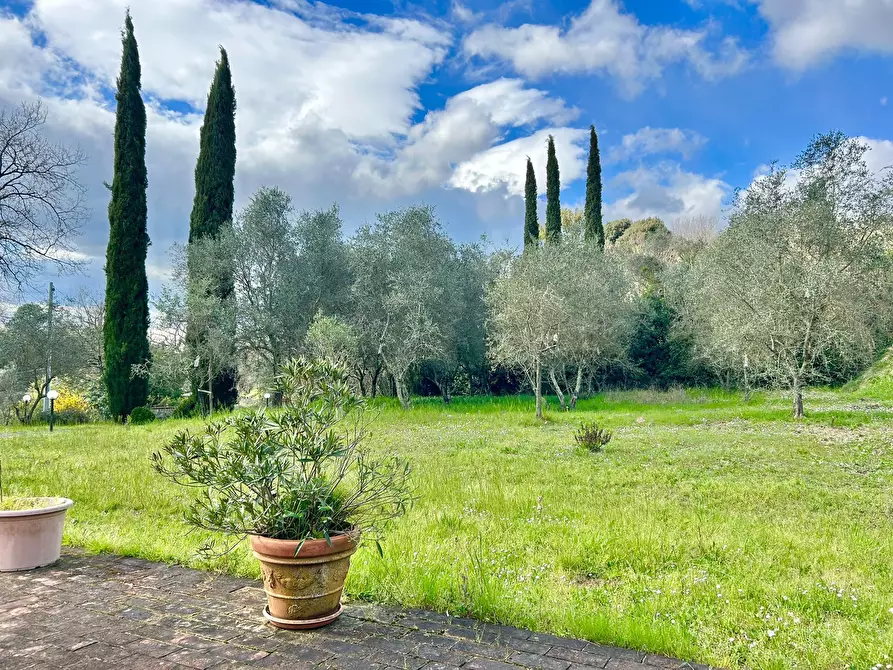 Immagine 17 di Casa indipendente in vendita  a Sarzana