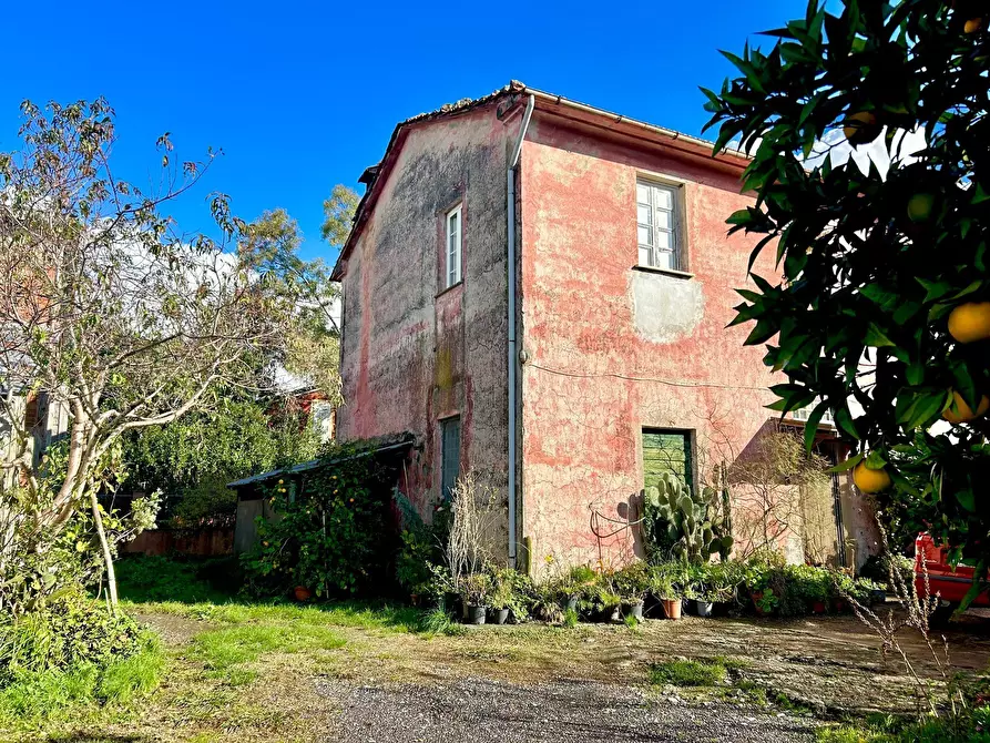 Immagine 24 di Rustico / casale in vendita  a Sarzana