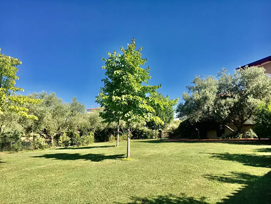 Immagine 30 di Rustico / casale in vendita  a Castelnuovo Magra