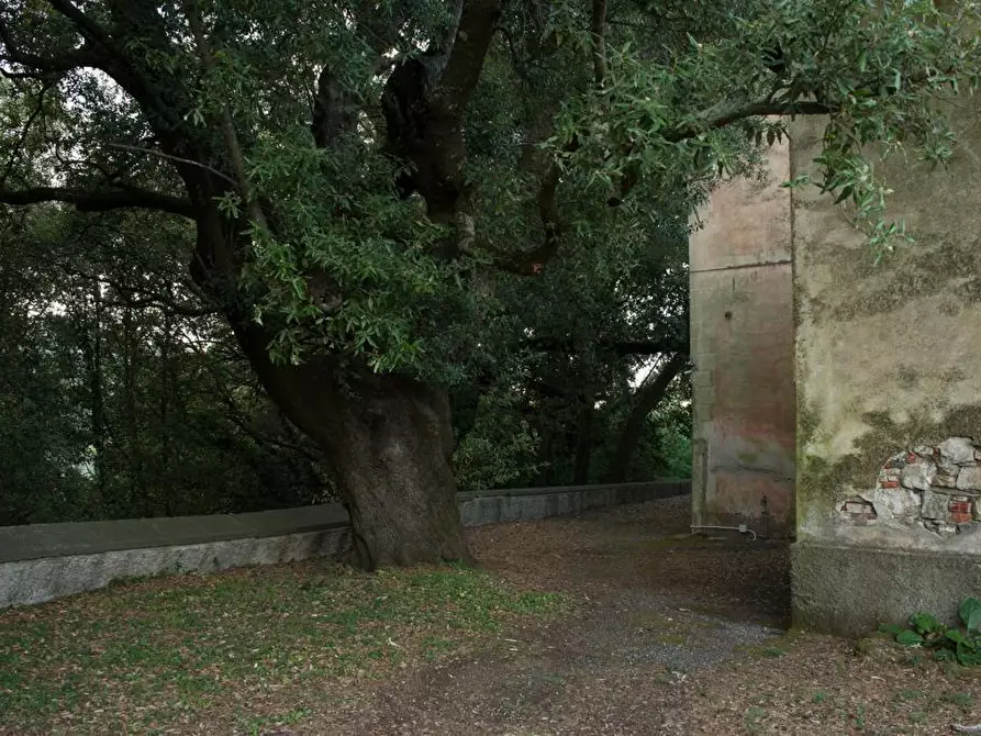 Immagine 69 di Villa in vendita  a Sarzana