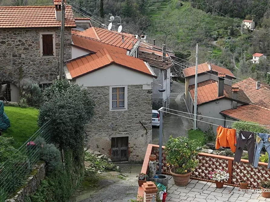 Immagine 1 di Rustico / casale in vendita  a Fosdinovo