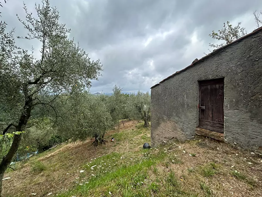 Immagine 23 di Terreno agricolo in vendita  a Arcola